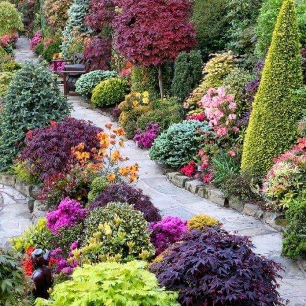 Meet your Posher, Arely